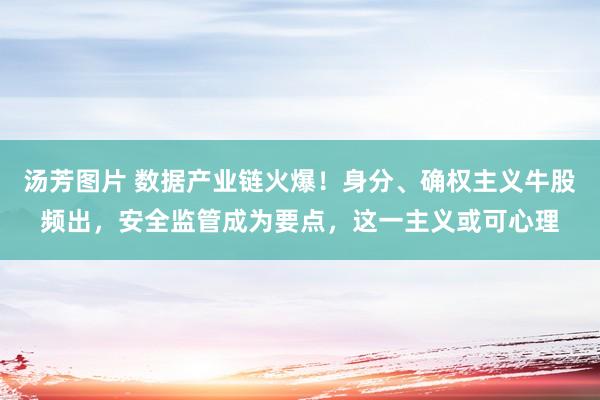 汤芳图片 数据产业链火爆！身分、确权主义牛股频出，安全监管成为要点，这一主义或可心理