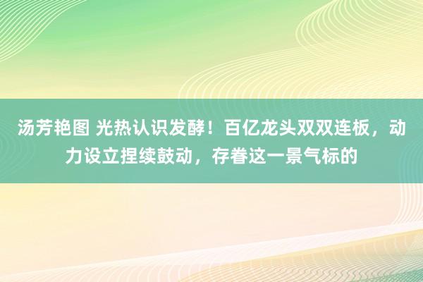 汤芳艳图 光热认识发酵！百亿龙头双双连板，动力设立捏续鼓动，存眷这一景气标的