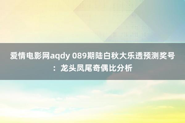 爱情电影网aqdy 089期陆白秋大乐透预测奖号：龙头凤尾奇偶比分析