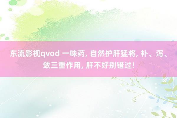 东流影视qvod 一味药, 自然护肝猛将, 补、泻、敛三重作用, 肝不好别错过!