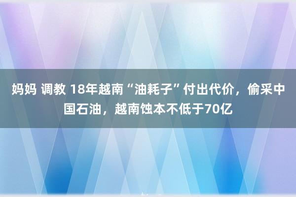 妈妈 调教 18年越南“油耗子”付出代价，偷采中国石油，越南蚀本不低于70亿