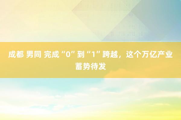 成都 男同 完成“0”到“1”跨越，这个万亿产业蓄势待发