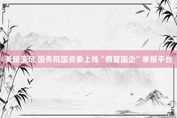 美腿玉足 国务院国资委上线“假冒国企”举报平台