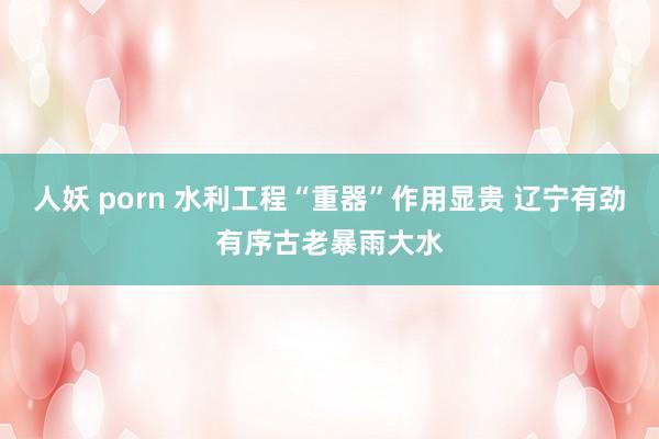 人妖 porn 水利工程“重器”作用显贵 辽宁有劲有序古老暴雨大水