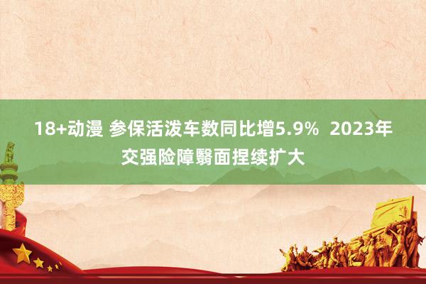 18+动漫 参保活泼车数同比增5.9%  2023年交强险障翳面捏续扩大