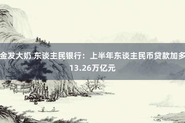 金发大奶 东谈主民银行：上半年东谈主民币贷款加多13.26万亿元