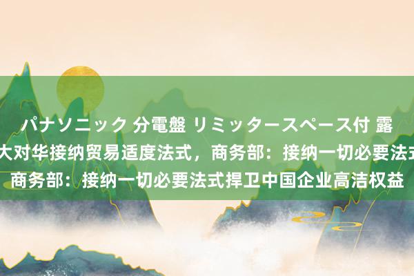 パナソニック 分電盤 リミッタースペース付 露出・半埋込両用形 加拿大对华接纳贸易适度法式，商务部：接纳一切必要法式捍卫中国企业高洁权益