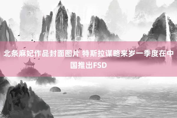 北条麻妃作品封面图片 特斯拉谋略来岁一季度在中国推出FSD