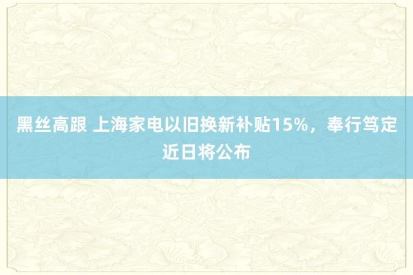 黑丝高跟 上海家电以旧换新补贴15%，奉行笃定近日将公布