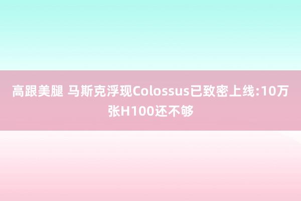 高跟美腿 马斯克浮现Colossus已致密上线:10万张H100还不够