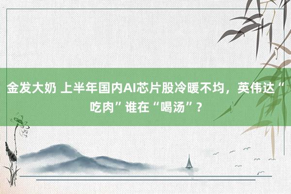 金发大奶 上半年国内AI芯片股冷暖不均，英伟达“吃肉”谁在“喝汤”？