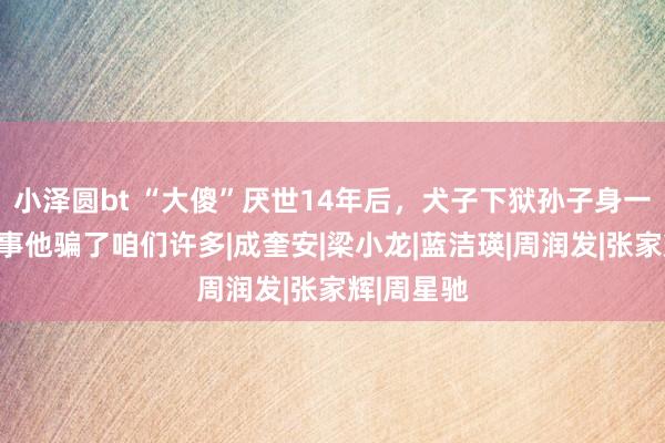 小泽圆bt “大傻”厌世14年后，犬子下狱孙子身一火：有件事他骗了咱们许多|成奎安|梁小龙|蓝洁瑛|周润发|张家辉|周星驰