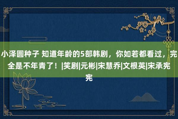 小泽圆种子 知道年龄的5部韩剧，你如若都看过，完全是不年青了！|笑剧|元彬|宋慧乔|文根英|宋承宪