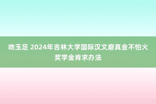 吻玉足 2024年吉林大学国际汉文磨真金不怕火奖学金肯求办法