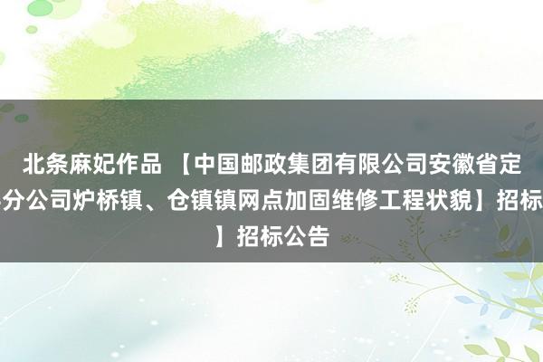 北条麻妃作品 【中国邮政集团有限公司安徽省定远县分公司炉桥镇、仓镇镇网点加固维修工程状貌】招标公告